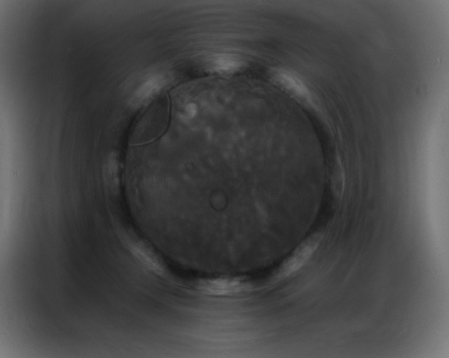 X0000086920366200704161408