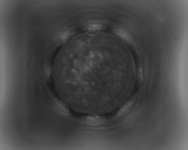 X0000086920367200704161408