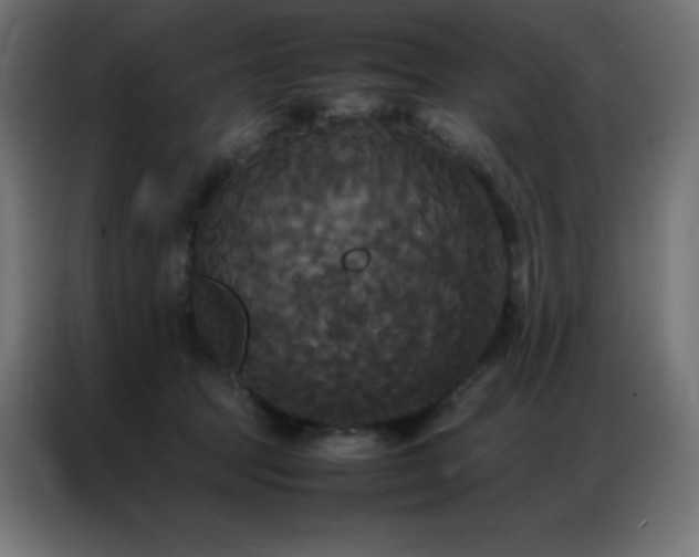 X0000086920369200704161408
