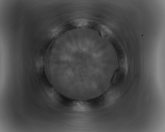 X0000086920372200704161408