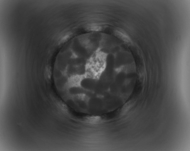 X0000086920374200704161408