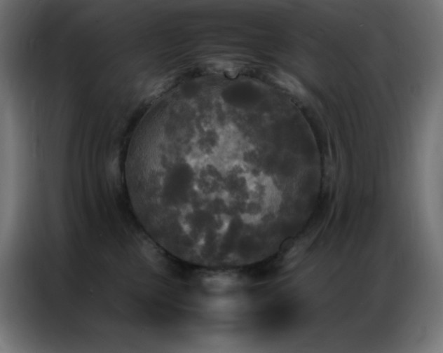 X0000086920377200704161408