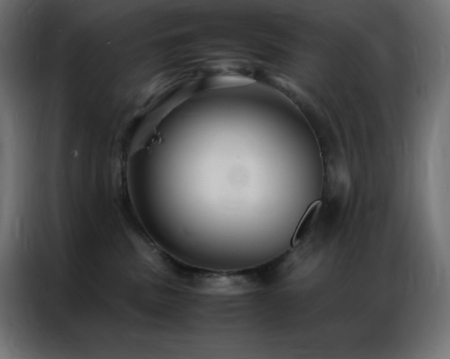 X0000086920379200704161408