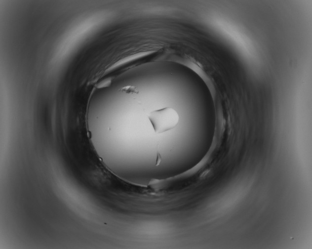 X0000086920382200704161408