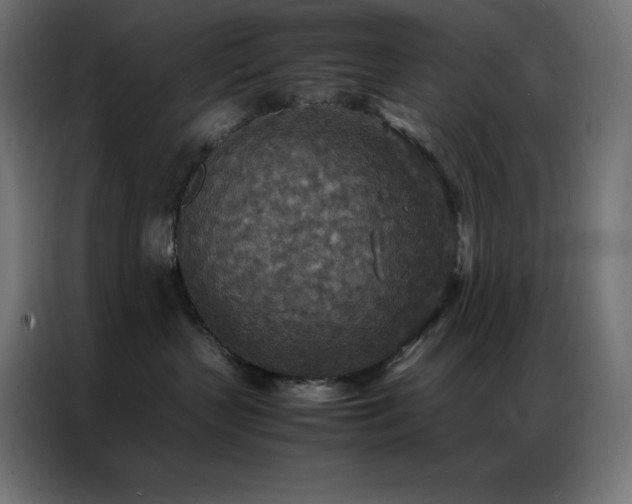 X0000086920383200704161408