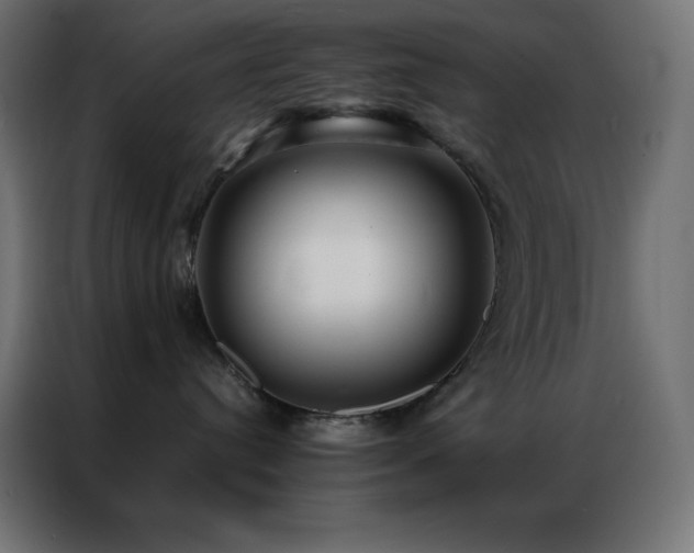 X0000086920384200704161408
