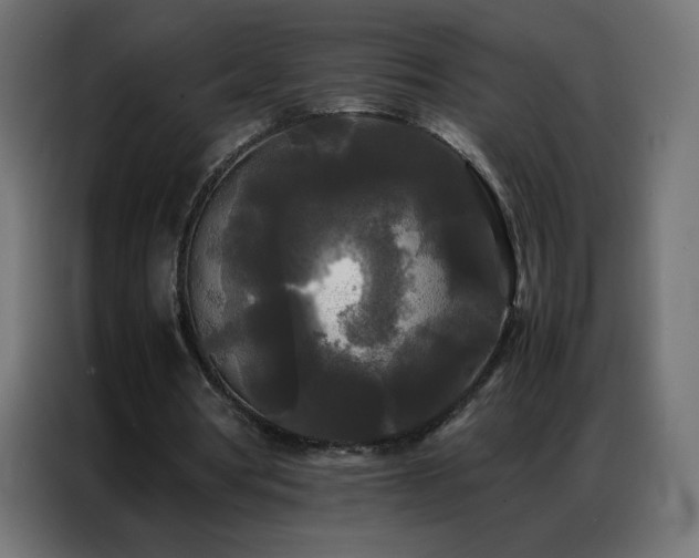 X0000086920386200704161407