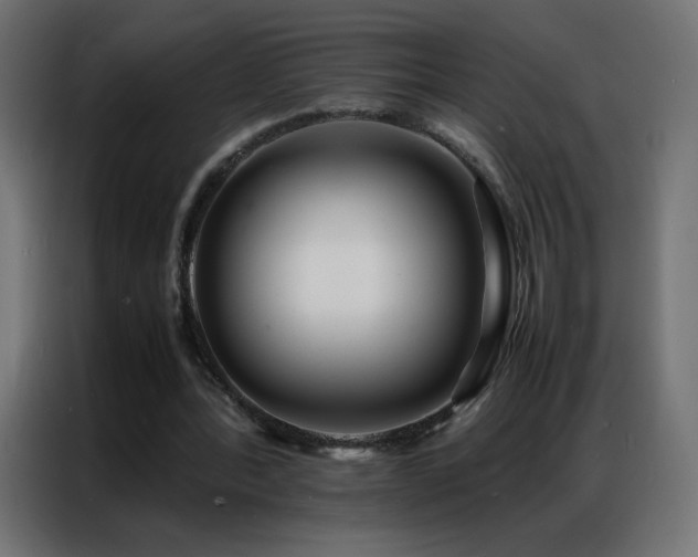 X0000086920388200704161407