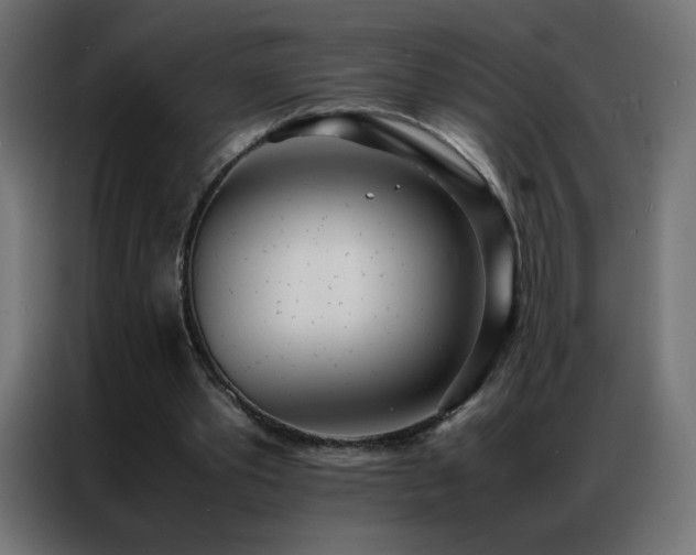 X0000086920389200704161407
