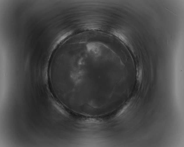 X0000086920390200704161407