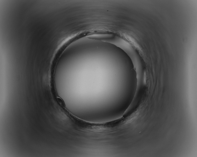 X0000086920391200704161407