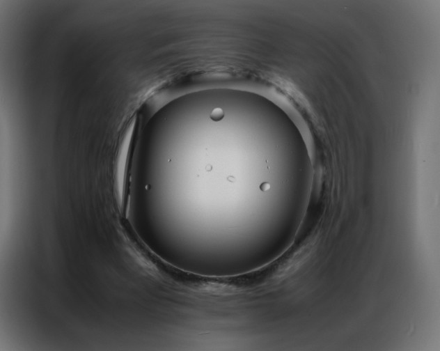 X0000086920393200704161407
