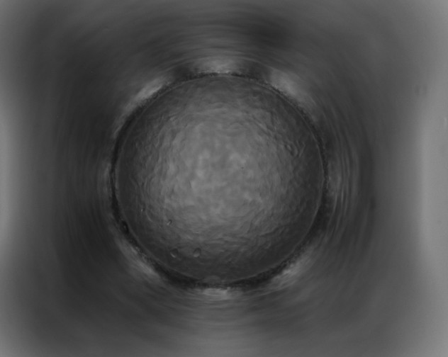 X0000086920394200704161407