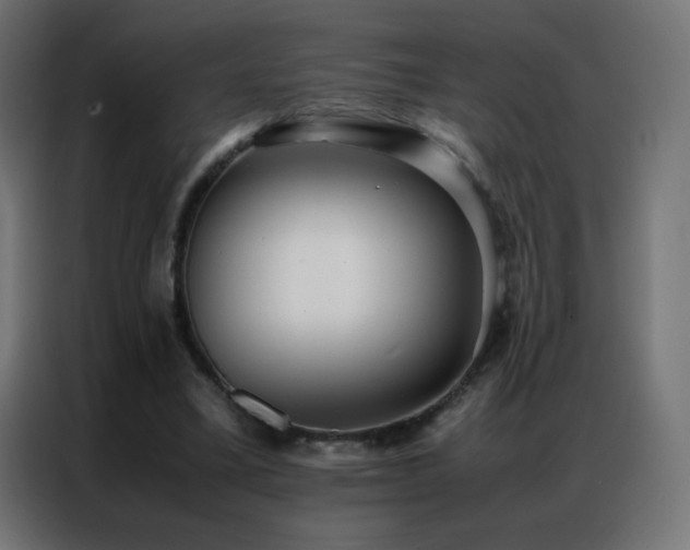 X0000086920395200704161407