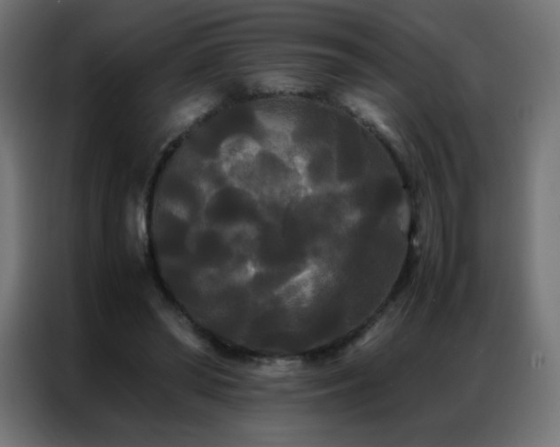 X0000086920398200704161407