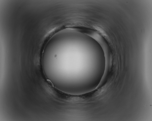 X0000086920399200704161407