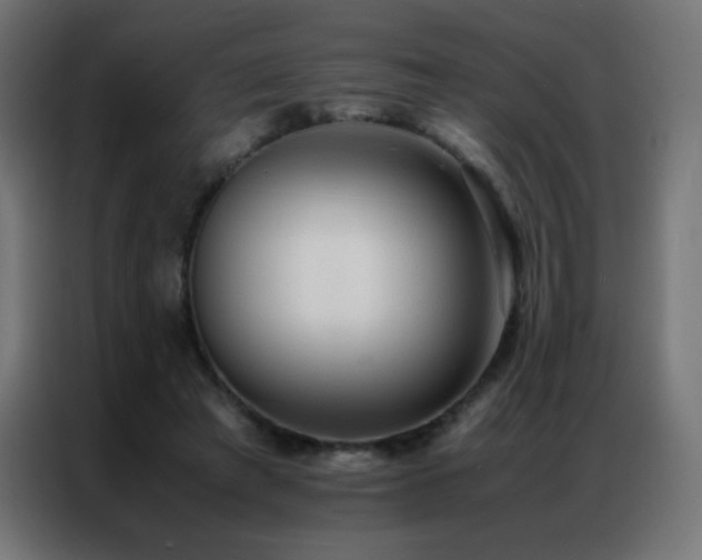 X0000086920401200704161407