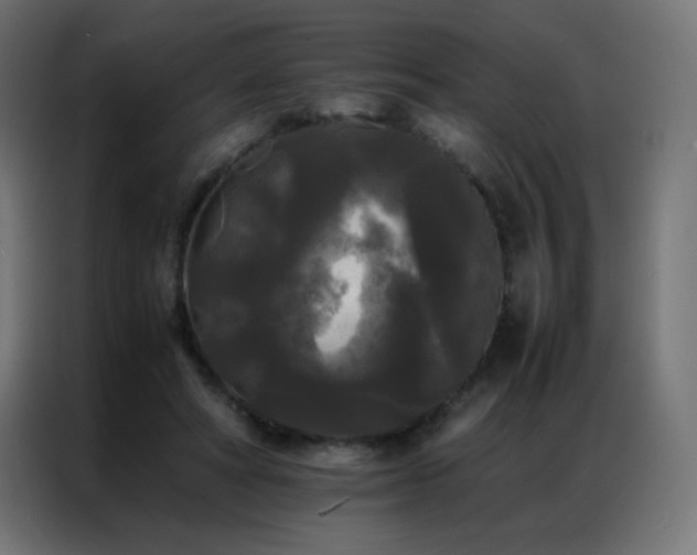 X0000086920402200704161407