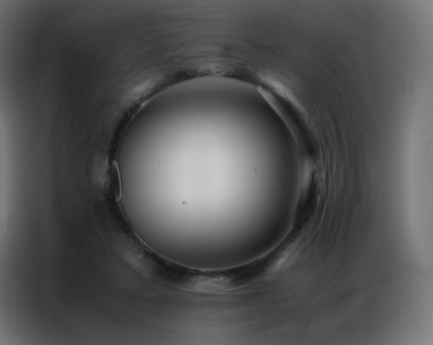 X0000086920403200704161407