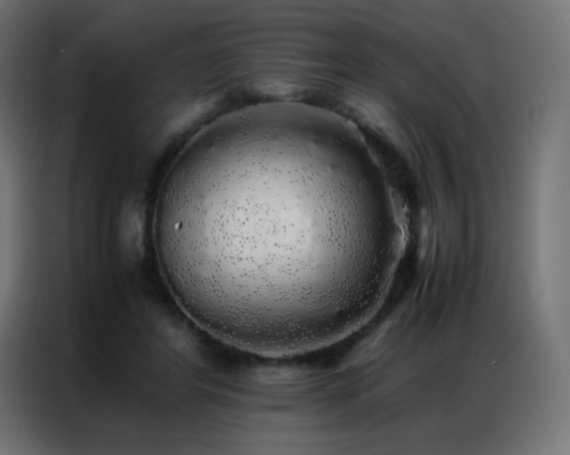 X0000086920404200704161407
