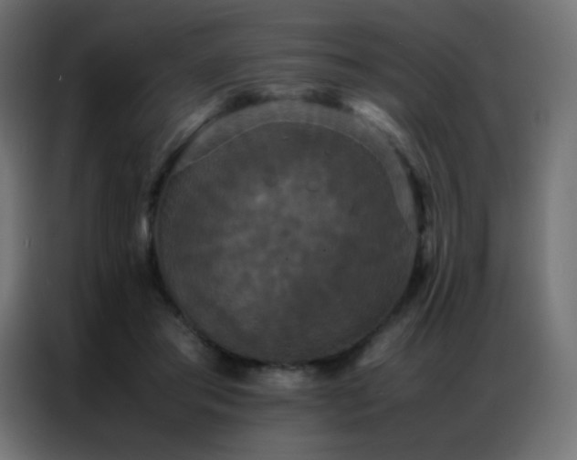 X0000086920405200704161407