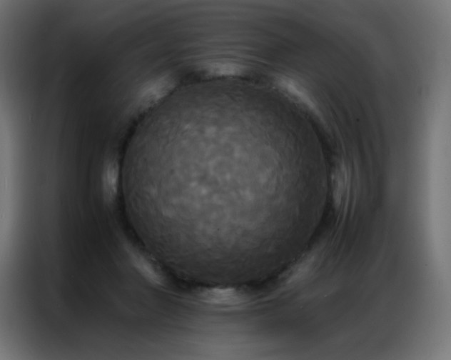 X0000086920406200704161407