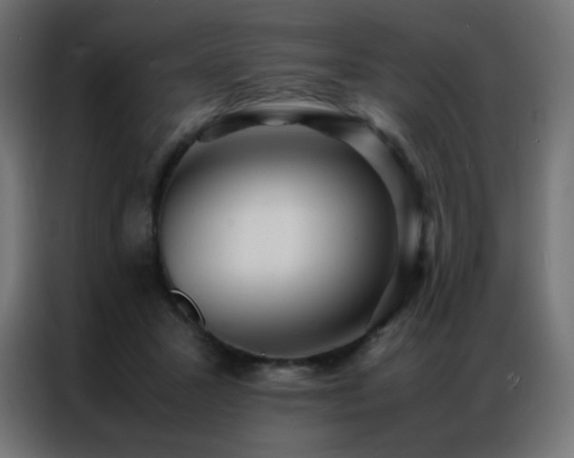 X0000086920407200704161407