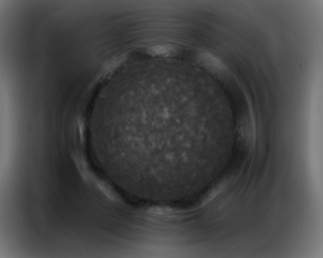 X0000086920408200704161407