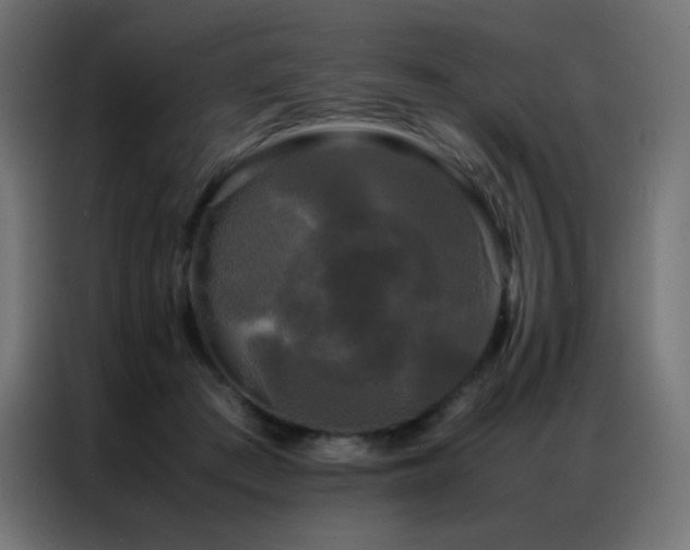 X0000086920409200704161407