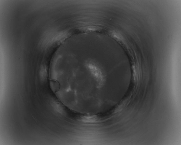 X0000086920410200704161407