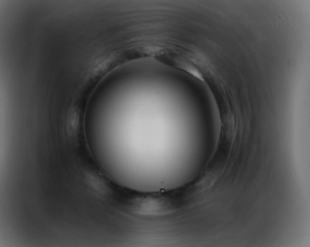 X0000086920412200704161407