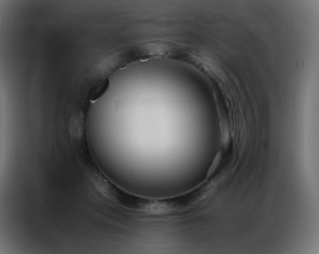 X0000086920413200704161407