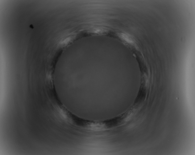 X0000086920415200704161407