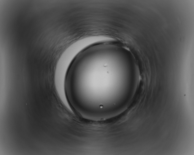 X0000086920416200704161407