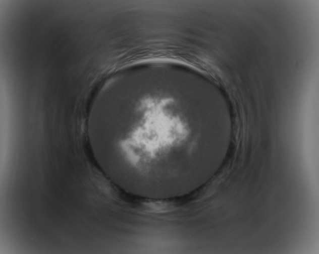 X0000086920417200704161407