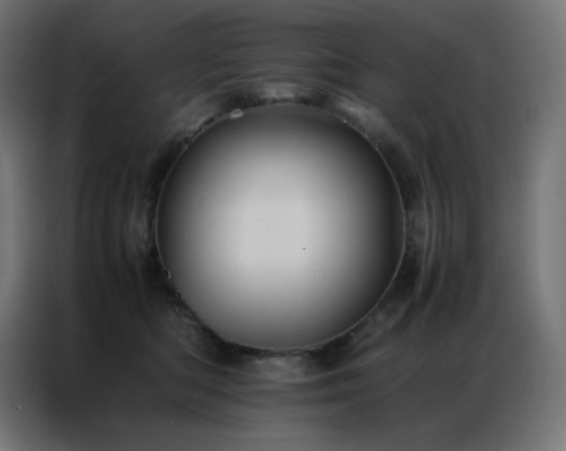 X0000086920422200704161407