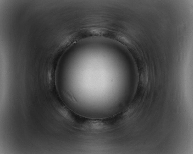 X0000086920424200704161407