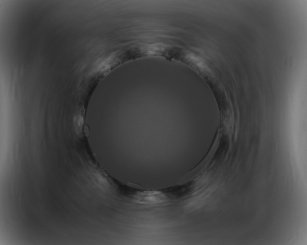 X0000086920427200704161407
