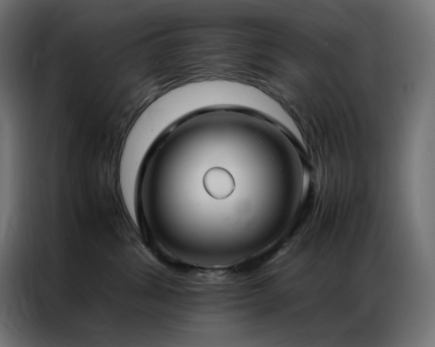 X0000086920428200704161407