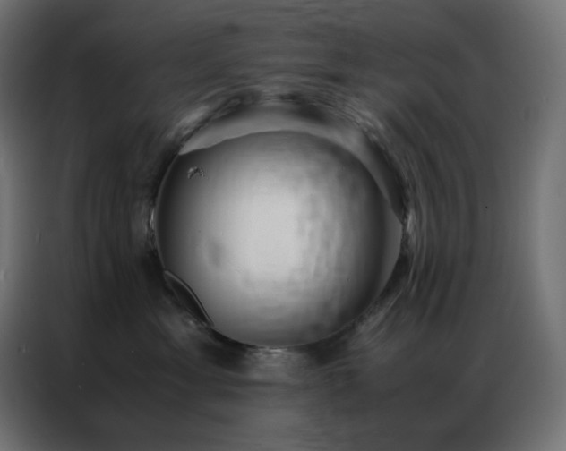 X0000086920429200704161407