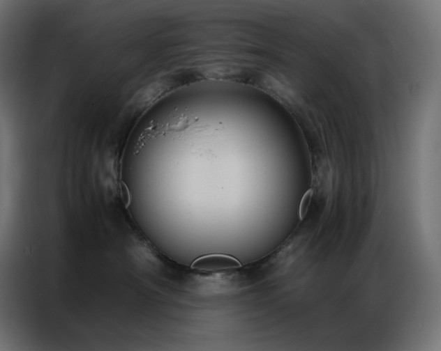 X0000086920430200704161407