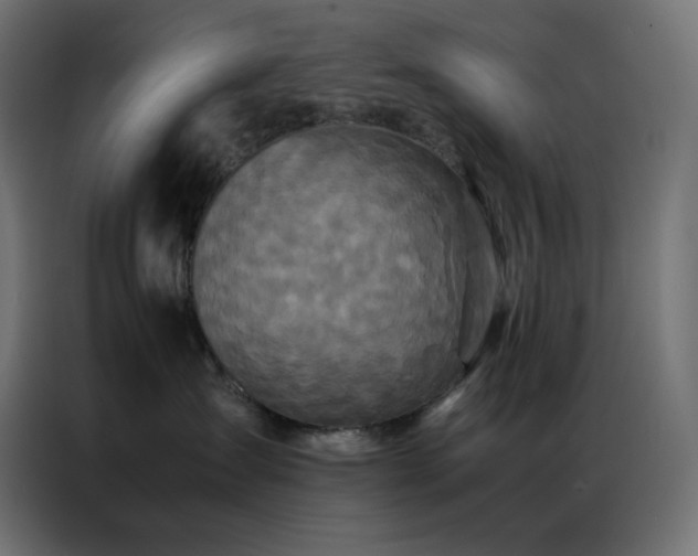 X0000086920431200704161407