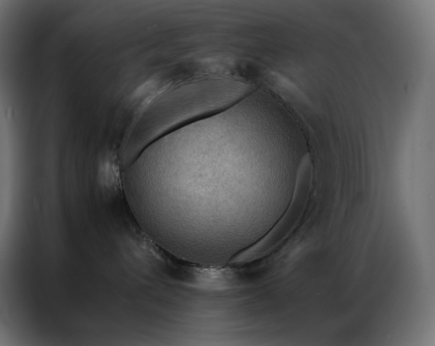 X0000086920432200704161407