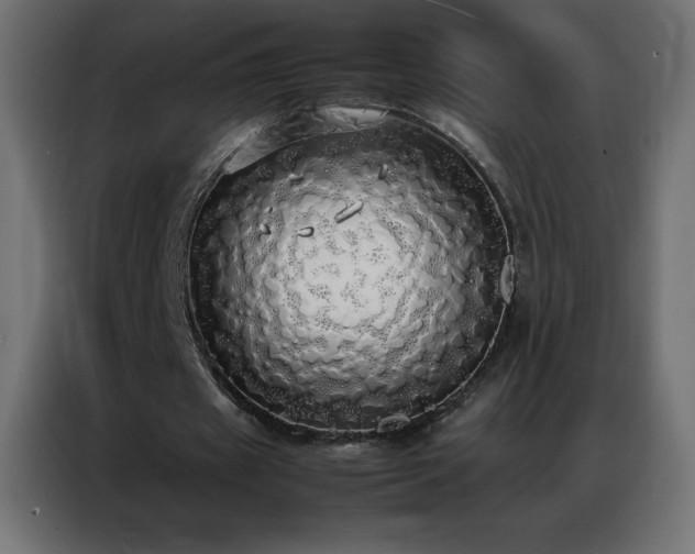 X0000086920433200704161406
