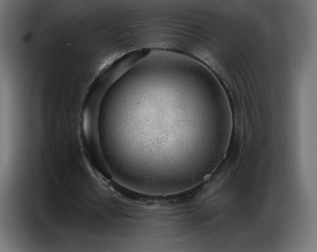 X0000086920434200704161406