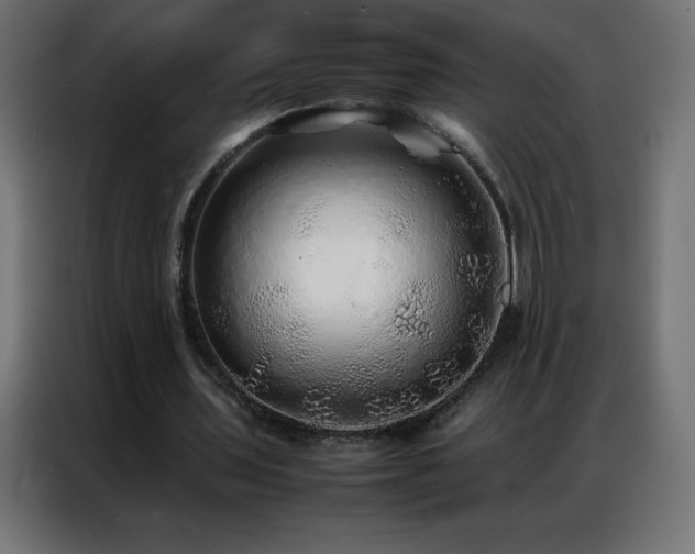 X0000086920435200704161406