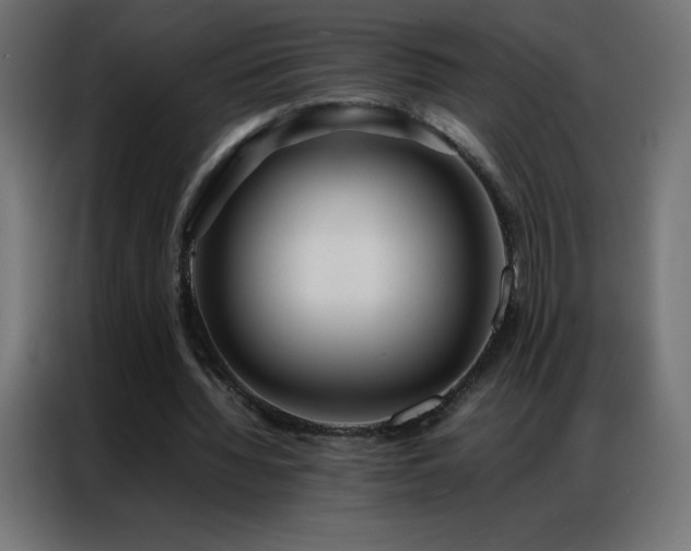 X0000086920436200704161406