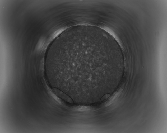 X0000086920437200704161406