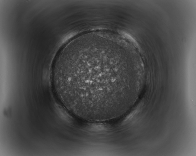 X0000086920439200704161406