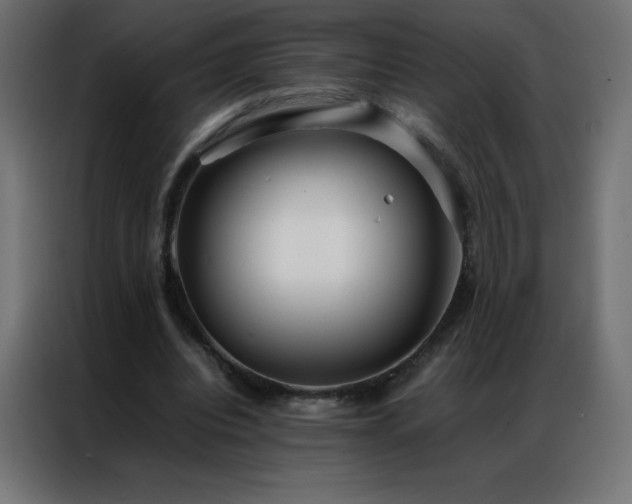 X0000086920440200704161406